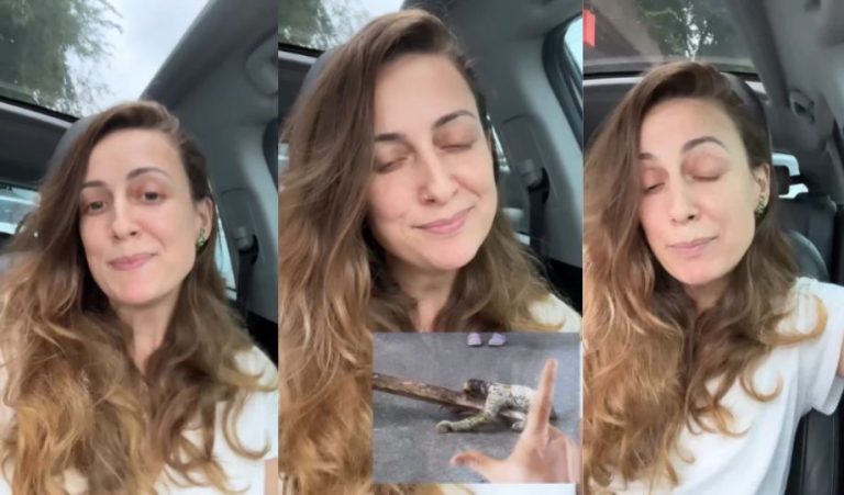 Bicho preguiça, “café” e tucumã: influenciadora revela curiosidades de Manaus
