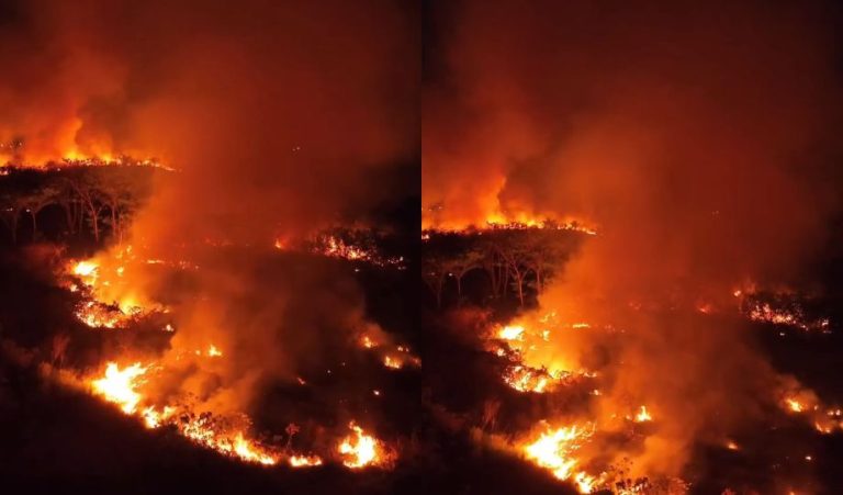 Imagens mostram incêndio avançando pela vegetação em Iranduba no Amazonas