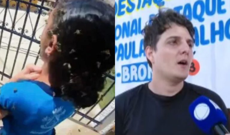 Motoboy leva 40 picadas de abelha ao tentar salvar criança em ataque perto de escola